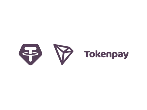 TokenPay 安装搭建对接